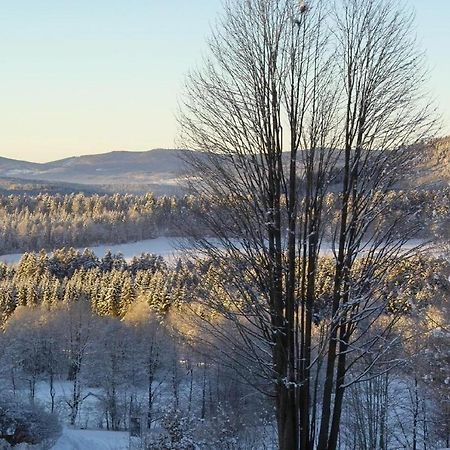 Ferienwohnung-Panoramablick-1 Bodenmais Eksteriør bilde