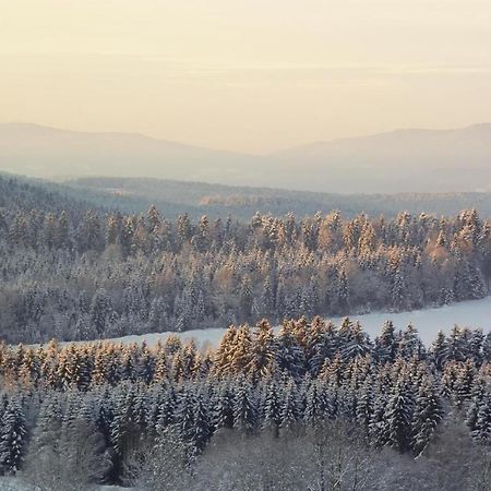 Ferienwohnung-Panoramablick-1 Bodenmais Eksteriør bilde