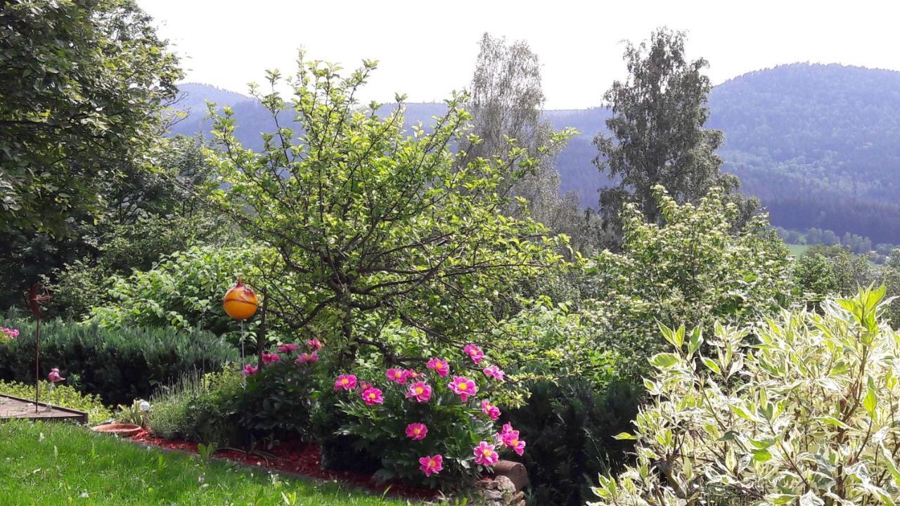 Ferienwohnung-Panoramablick-1 Bodenmais Eksteriør bilde